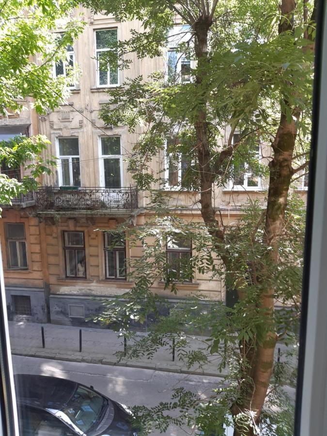 Cosy flat Leilighet Lviv Eksteriør bilde